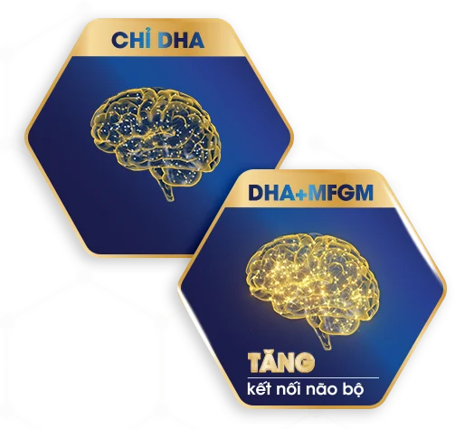 DHA và MFGM cho não bộ của  bé