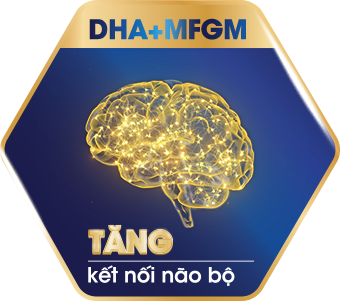 DHA + MFGM tăng kết nối não bộ